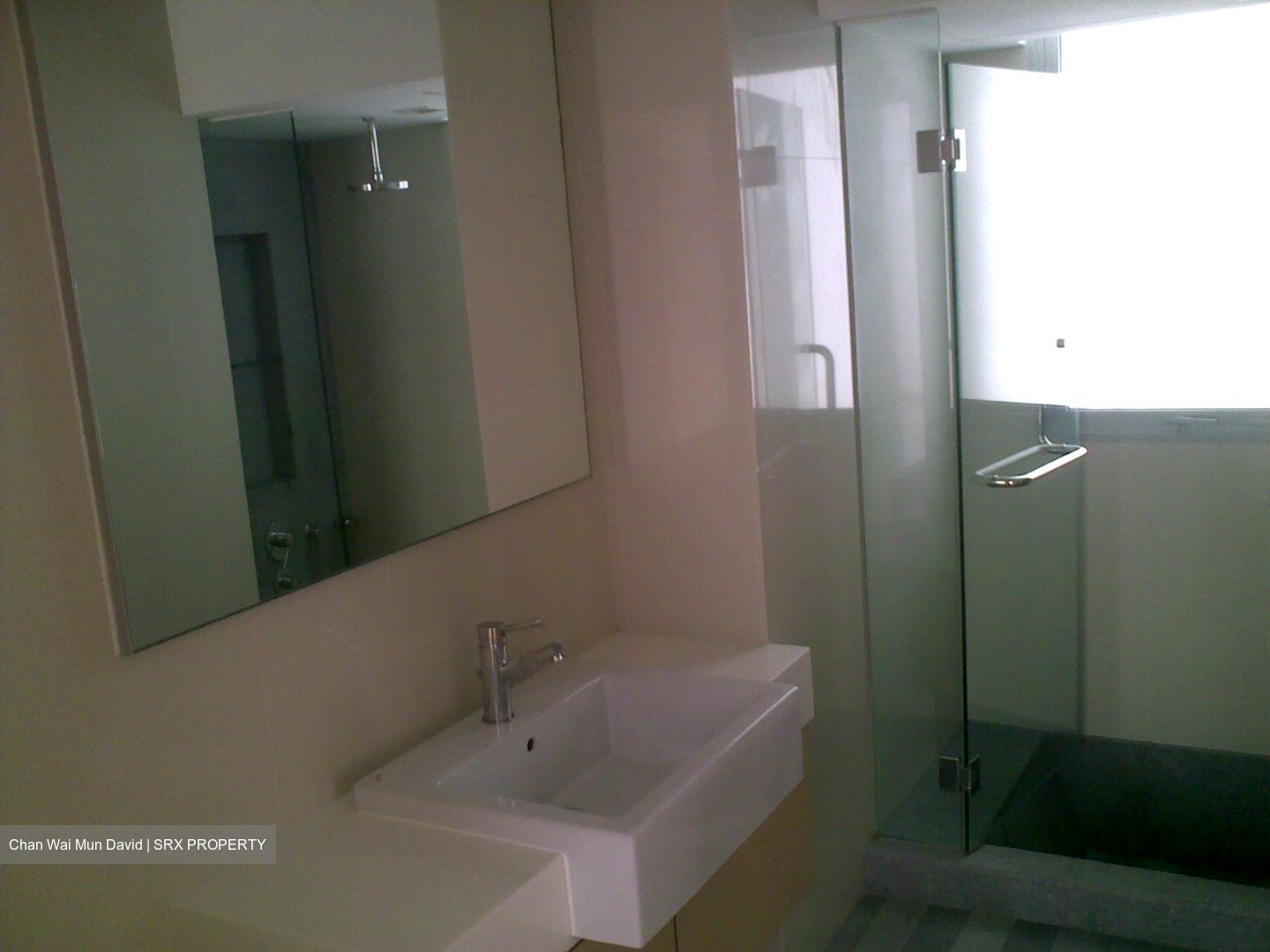 8 @ Mount Sophia (D9), Condominium #546507541